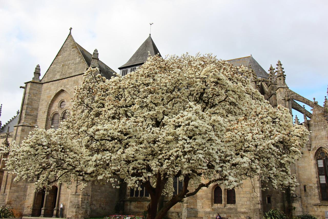 Bed and Breakfast La Tocade Del Arte - Dinan Lanvallay Экстерьер фото